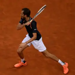Tenis